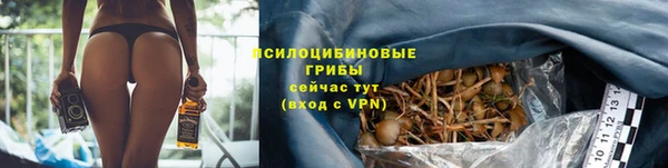 apvp Верея
