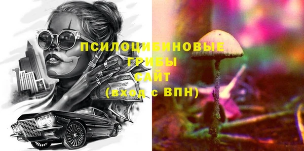 ECSTASY Бронницы