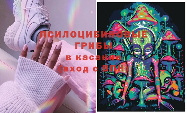 apvp Верея